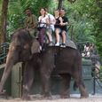 20070628_singapore_bintan_165